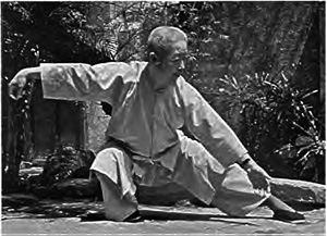 cheng man ching
